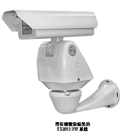 Pelco ES3012-5W 派爾高護罩云臺一體機